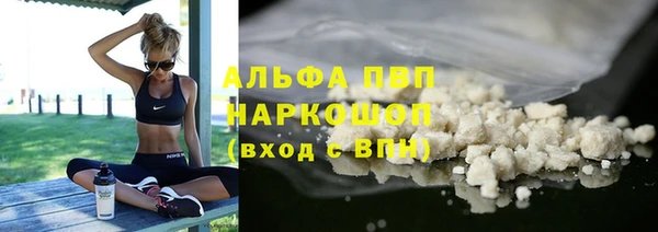 дурь Пересвет