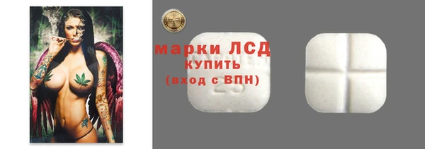 стаф Горнозаводск