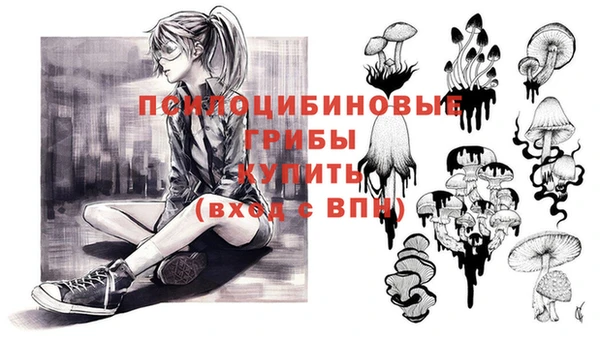 стаф Горнозаводск